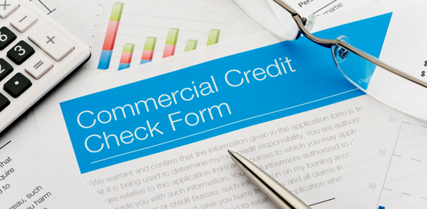 Business Credit Report Data